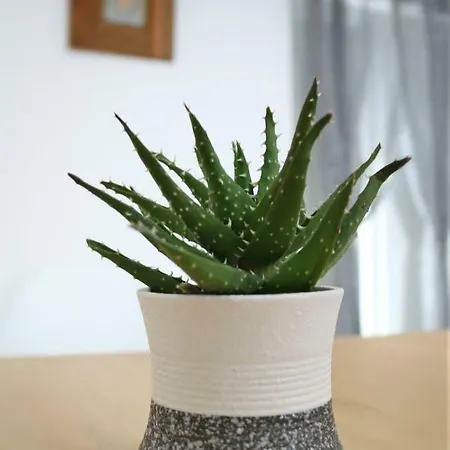 Casa Do Azulejo - Orange Apartamento *